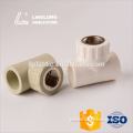High pressure ppr pipe fitting female screw tee